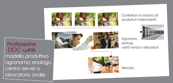 Professione DOC Wine - software gestionale per agronomi, enologi, centri servizi e cantine sociali