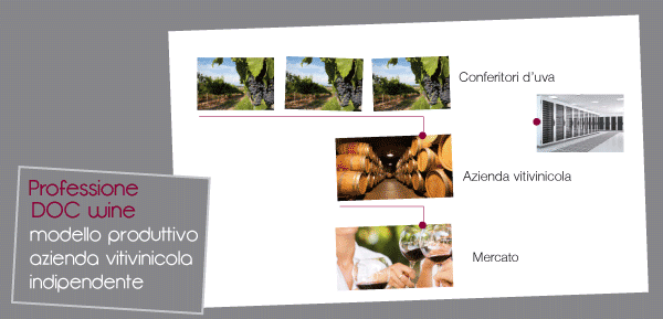 Professione DOC Wine - software gestionale per aziende vitivinicole indipendenti