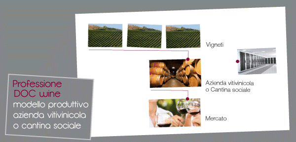 Professione DOC Wine - software gestionale per aziende vitivinicole e cantine sociali